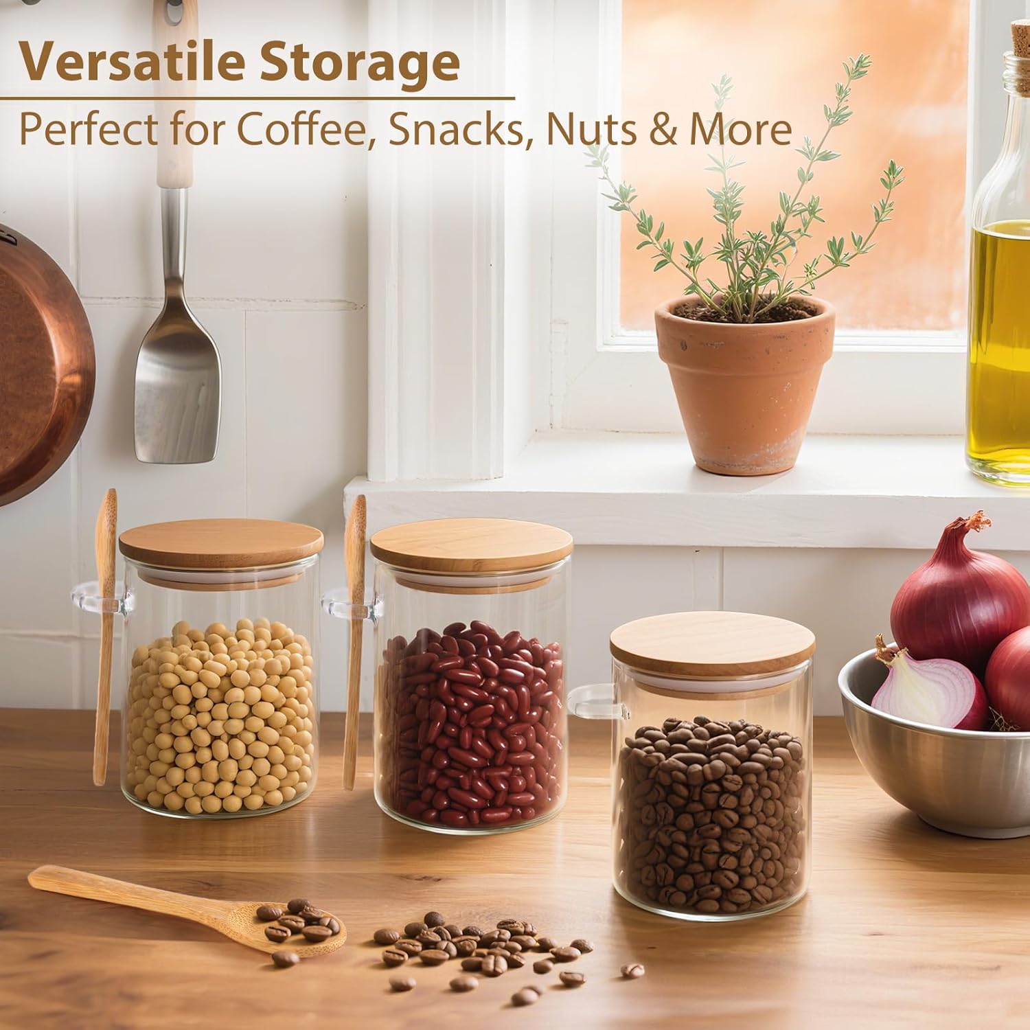 6 Pack Overnight Oats Containe – Meal Prep Containers recenzja i cena